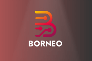 Borneo Schematics 2 User Activation Code [6 Month]